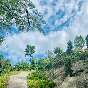 Meet your Posher, Leila angelika